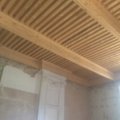 IMG 1061
